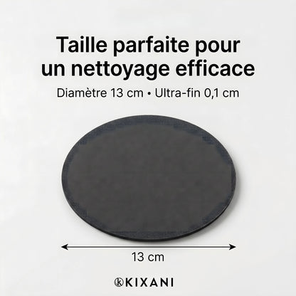 Éponge Nettoyante Inox