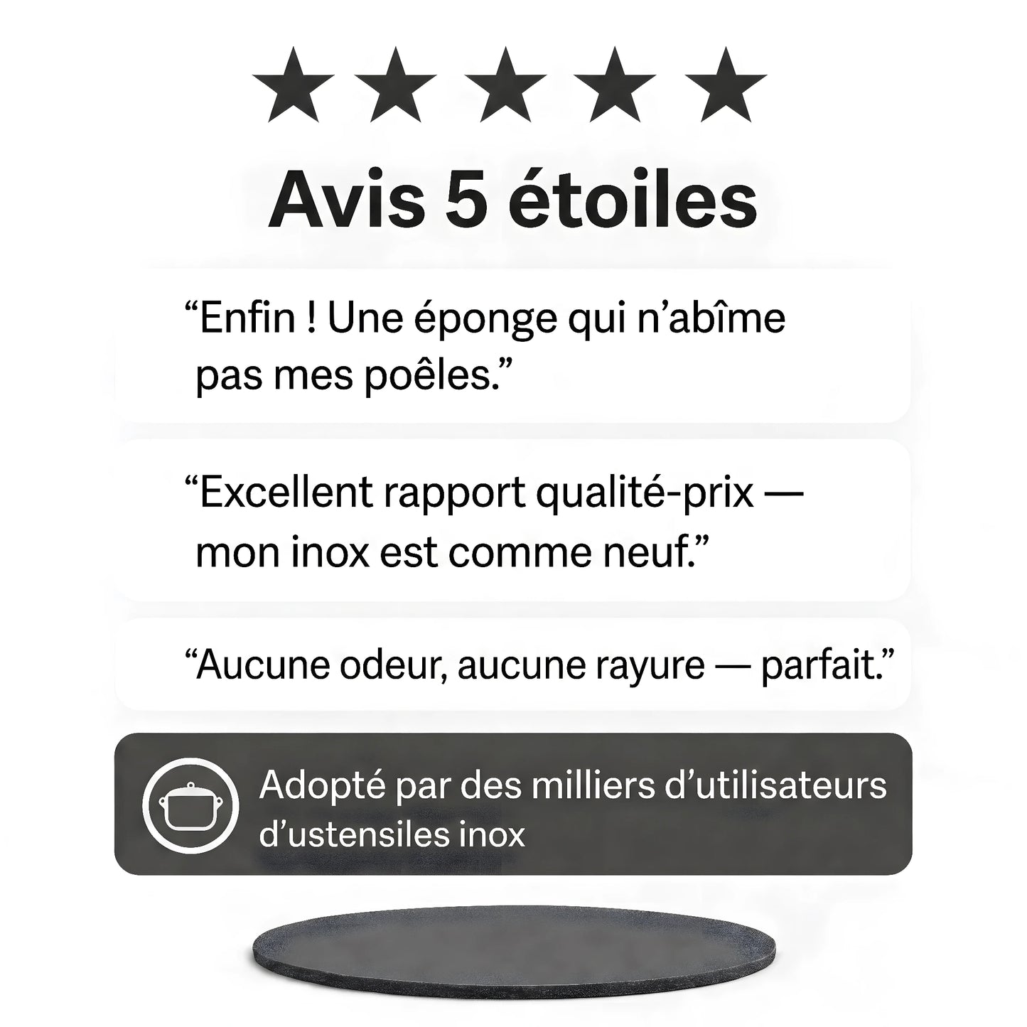 Éponge Nettoyante Inox
