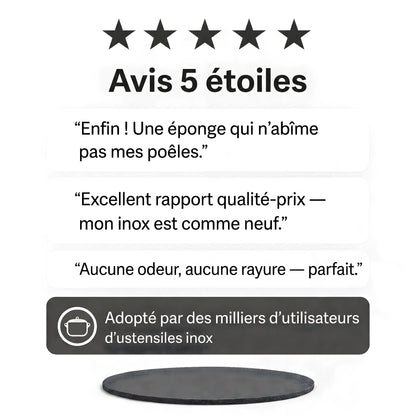 Éponge Nettoyante Inox
