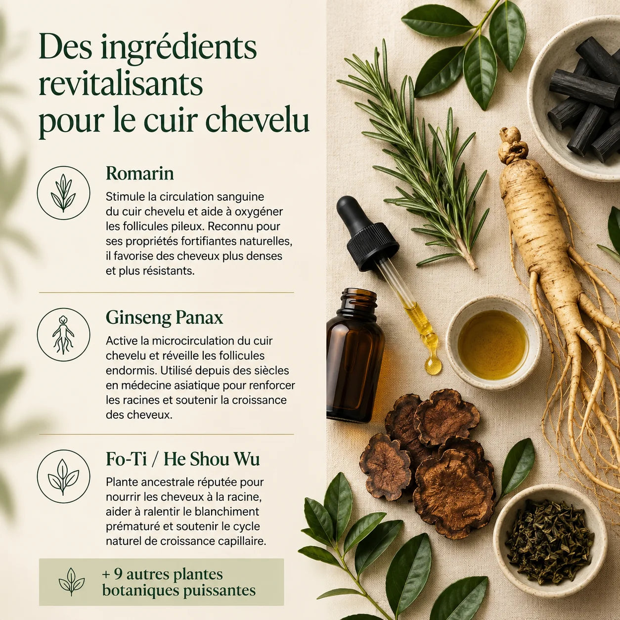 Shampoing Coréen Densifiant